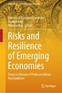 Risks and Resilience of Emerging Economies - Essays in Honour of Professor Ajitava Raychaudhuri