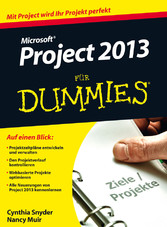 Microsoft Project 2013 für Dummies,
