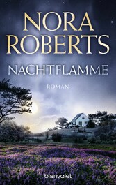 Nachtflamme - Roman