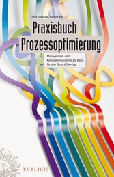 Praxisbuch Prozessoptimierung - Management- und Kennzahlensysteme als Basis fr den Geschftserfolg