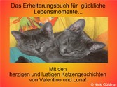 Das Erheiterungsbuch für glückliche Lebensmomente - Mit den herzigen und lustigen Katzengeschichten von Valentino und Luna!