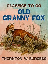 Old Granny Fox 